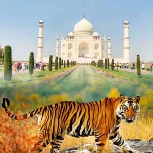 wild-life-agra-tour